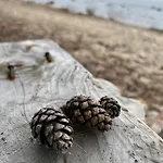 Spithamn & Private Sauna Retreat *