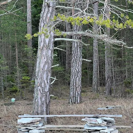 Spithamn & Private Sauna Retreat Feriehus