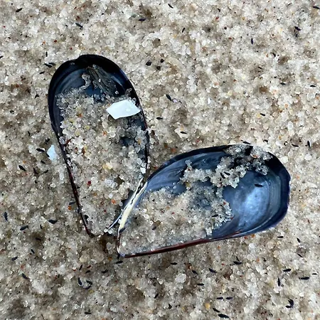 Spithamn & Private Sauna Retreat *