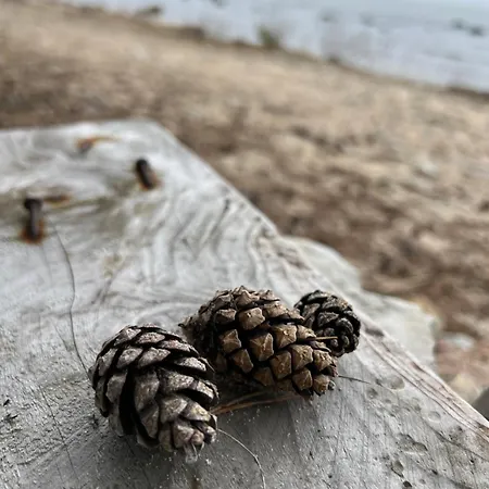 Spithamn & Private Sauna Retreat *