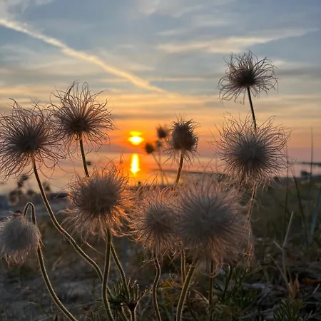 Spithamn & Private Sauna Retreat * Spithami