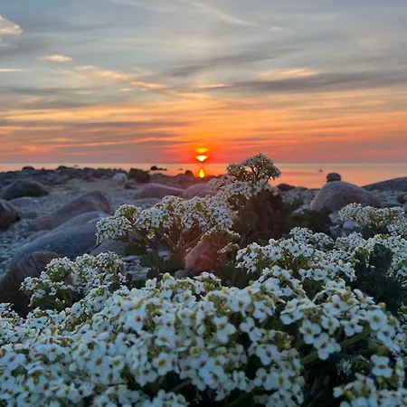 Spithamn بيت للعطل *