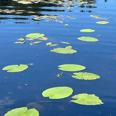 Spithamn & Private Sauna Retreat