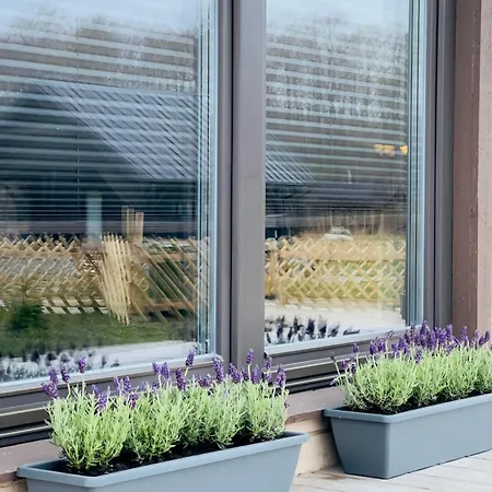 Spithamn & Private Sauna Retreat Spithami