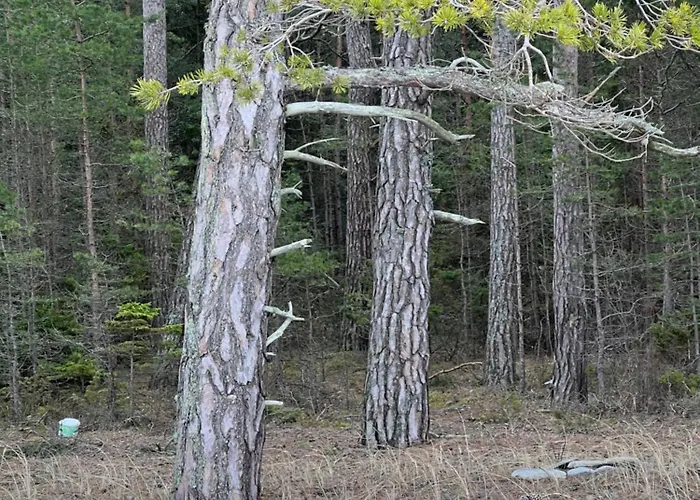Spithamn & Private Sauna Retreat Feriehus