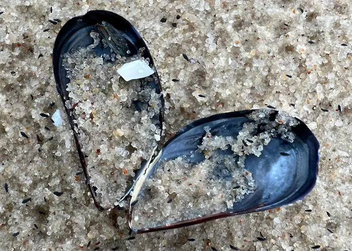 Spithamn & Private Sauna Retreat *