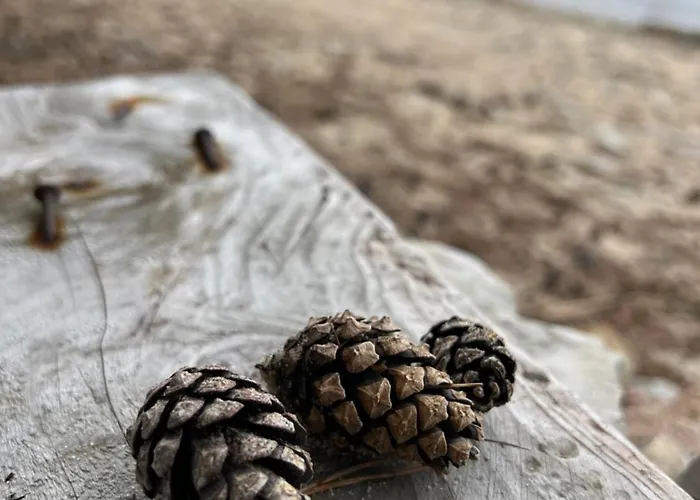 Spithamn & Private Sauna Retreat *