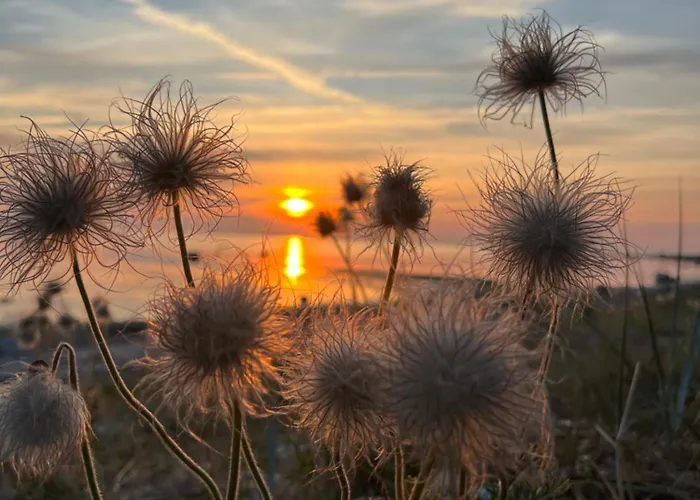 Spithamn & Private Sauna Retreat * Spithami