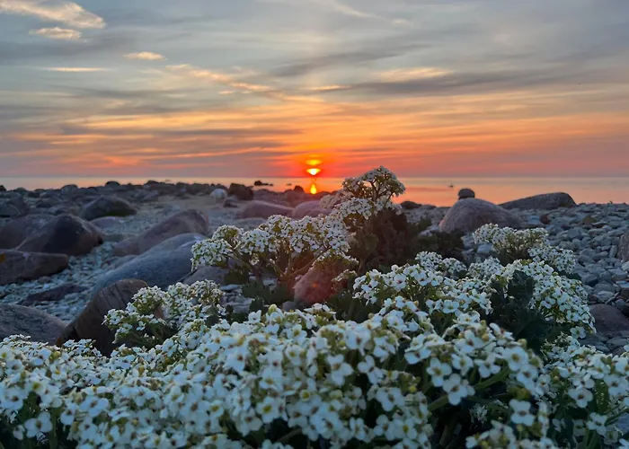 Spithamn & Private Sauna Retreat Puhkemaja *