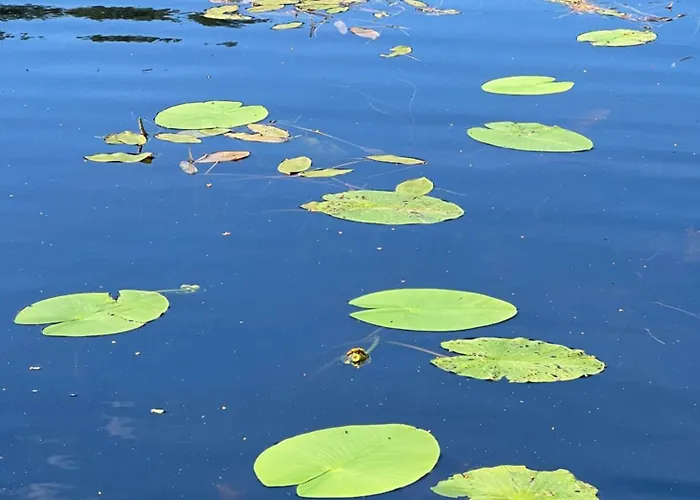 Spithamn & Private Sauna Retreat