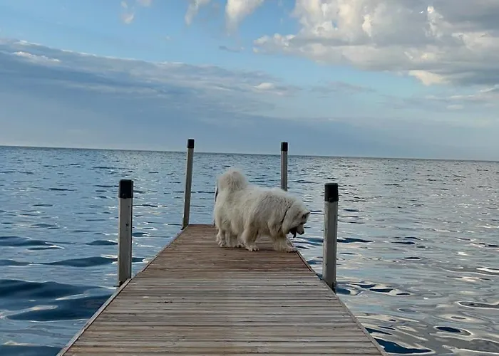 Spithamn & Private Sauna Retreat Spithami