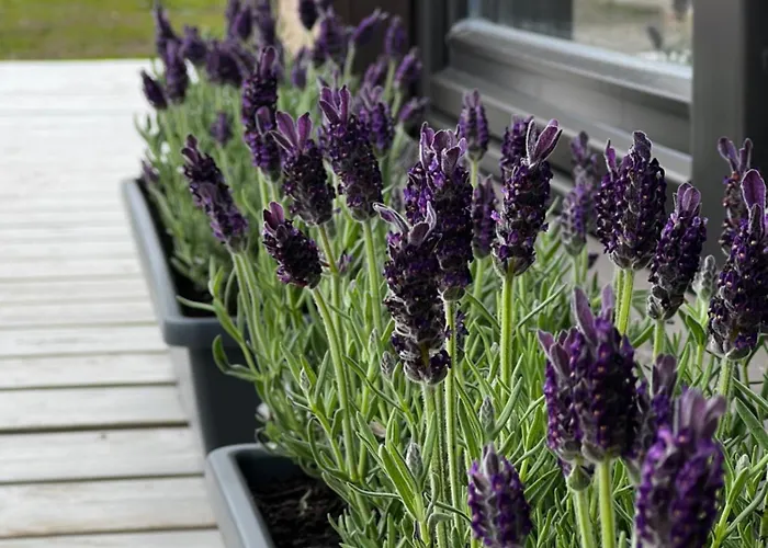 بيت للعطل Spithamn & Private Sauna Retreat *