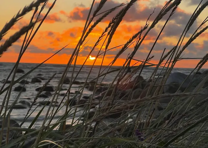 Spithamn & Private Sauna Retreat Spithami